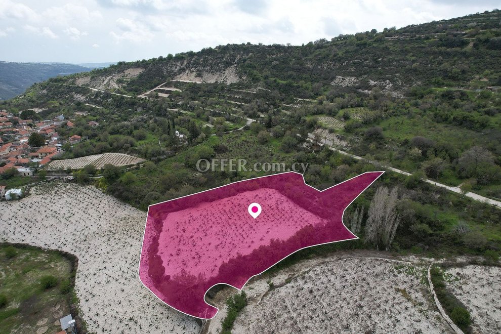 Residential field in Koilani Limassol - 3