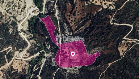 Agricultural Land For Sale in Koili, Paphos - DP3799 - 1