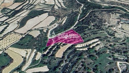 Agricultural Land For Sale in Koili, Paphos - DP3798 - 1