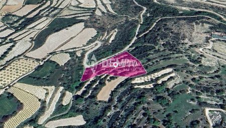 Agricultural Land For Sale in Koili, Paphos - DP3798