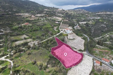 Residential field in Koilani Limassol - 1