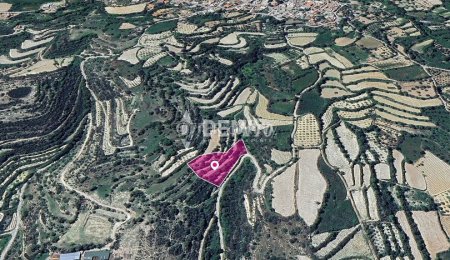 Agricultural Land For Sale in Koili, Paphos - DP3798 - 3