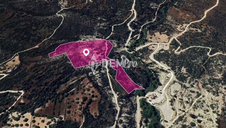 Agricultural Land For Sale in Koili, Paphos - DP3799 - 2