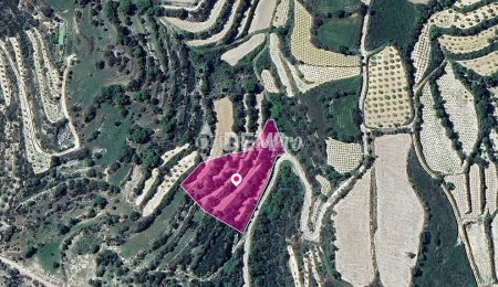 Agricultural Land For Sale in Koili, Paphos - DP3798 - 2