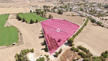 Share Field in Potamia Nicosia - 2