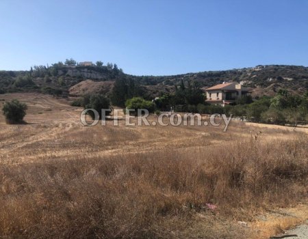 Agricultural Land in Monagrouli/Pentakomo - 6