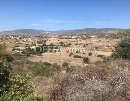 Agricultural Land in Monagrouli/Pentakomo - 4