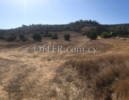 Agricultural Land in Monagrouli/Pentakomo - 2