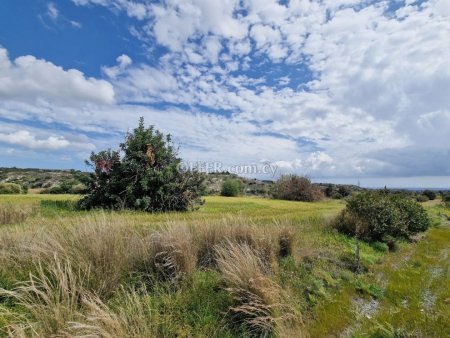 Share of a Residential Field in Tochni Larnaca - 3