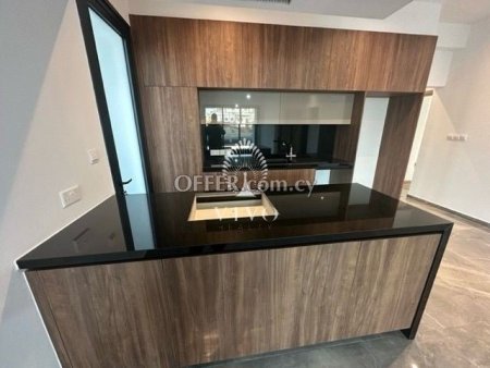 LUXURIOUS 3 BEDROOM PENTHOUSE WITH ROOF GARDEN IN AGIOS NEKTARIOS - 4