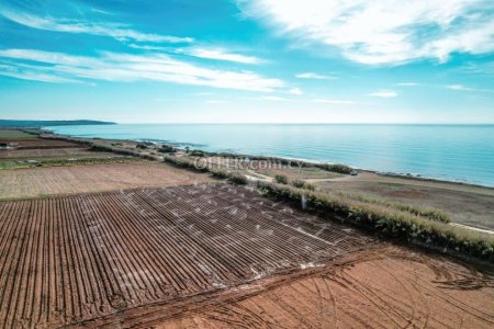 Field for Sale in Ormideia, Larnaca - 3