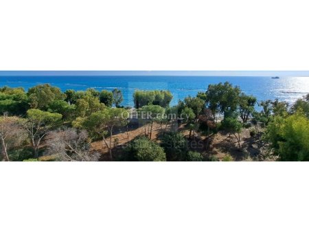 Amazing Beachfront Apartment Potamos Germasoyia Limassol Cyprus - 3