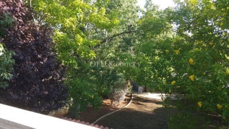 5 Bed Detached Villa for rent in Souni-Zanakia, Limassol - 3