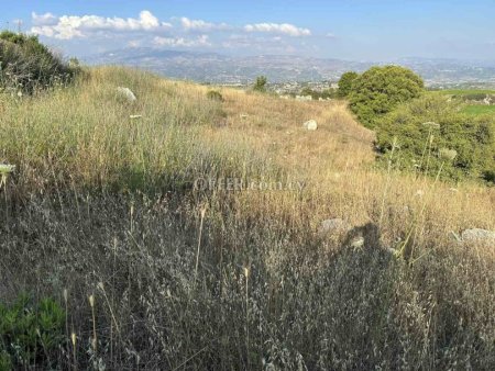 Agricultural Field for sale in Kallepia, Paphos - 2