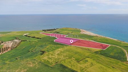 Seaview Field in Mazotos Larnaca - 1