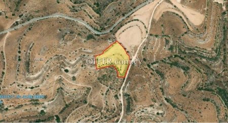 Field for sale in Malia, Limassol - 1