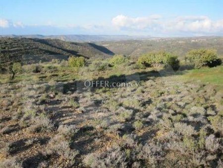 Field for sale in Apsiou, Limassol