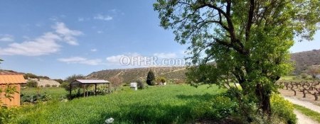 Agricultural Field for sale in Pissouri, Limassol