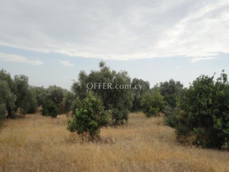 Building Plot for sale in Agios Loukas, Limassol - 1