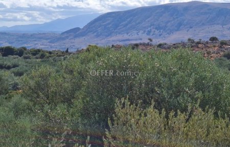Agricultural Field for sale in Akrotiri, Limassol - 1