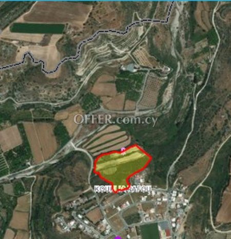 Field for sale in Kouklia, Paphos