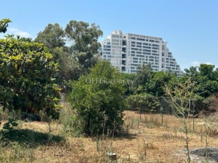 Field for sale in Zakaki, Limassol - 1