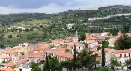 Agricultural Field for sale in Arsos, Limassol - 1