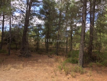 Field for sale in Mandria, Limassol