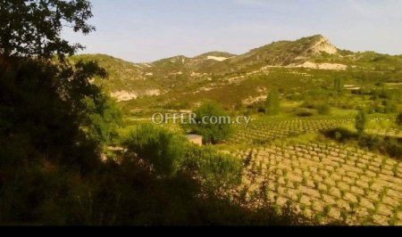 Field for sale in Mandria, Limassol