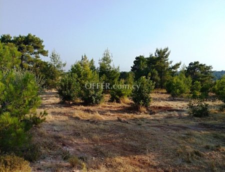 Field for sale in Dora, Limassol - 1
