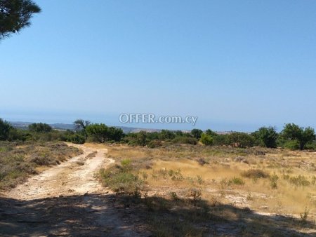 Field for sale in Moni, Limassol