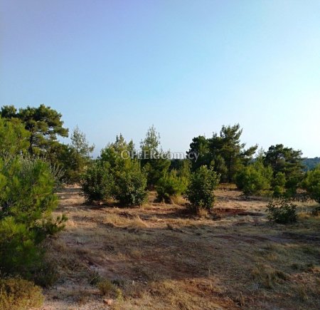 Residential Field for sale in Souni-Zanakia, Limassol