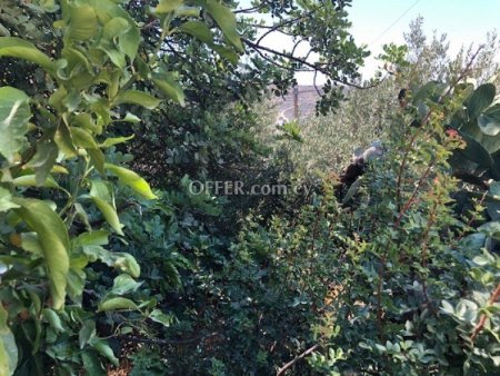 Building Plot for sale in Palodeia, Limassol - 1