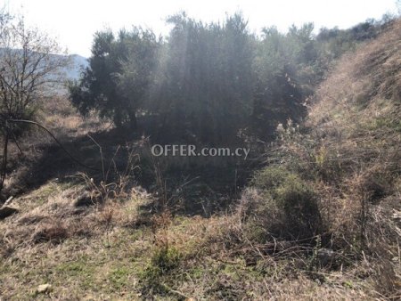 Field for sale in Silikou, Limassol