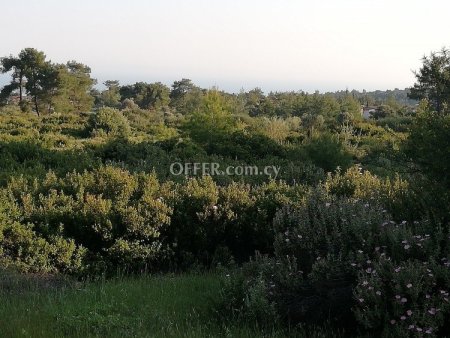 Field for sale in Parekklisia, Limassol