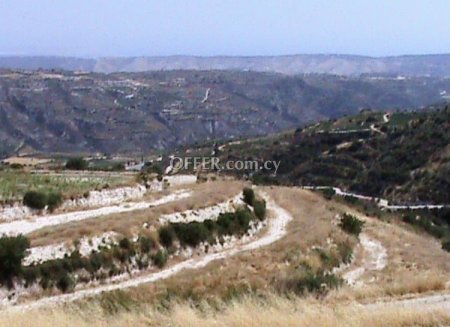 Agricultural Field for sale in Koilani, Limassol - 1