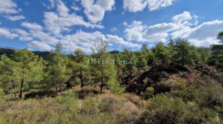 Field for sale in Kato Platres, Limassol - 1