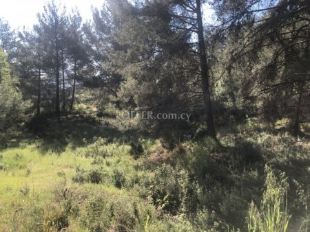 Residential Field for sale in Pera Pedi, Limassol - 1