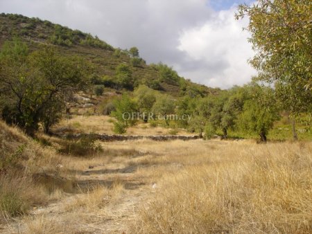 Residential Field for sale in Pera Pedi, Limassol - 1