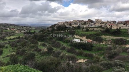 Agricultural Field for sale in Dora, Limassol