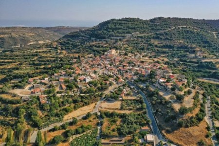 Agricultural Field for sale in Dora, Limassol