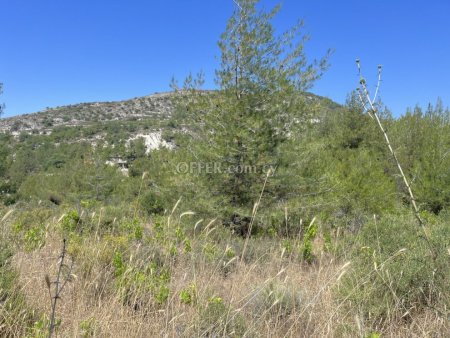 Residential Field for sale in Pera Pedi, Limassol