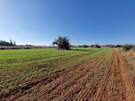 Development Land for sale in Ypsonas, Limassol