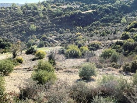 Agricultural Field for sale in Mathikoloni, Limassol - 1