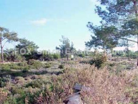 Agricultural Field for sale in Souni-Zanakia, Limassol