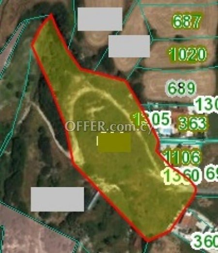 Field for sale in Pissouri, Limassol - 1