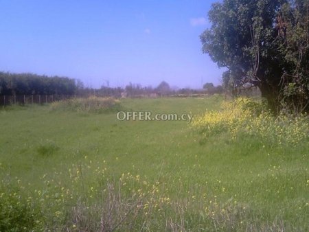 Field for sale in Ypsonas, Limassol