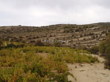 Agricultural Field for sale in Koilani, Limassol