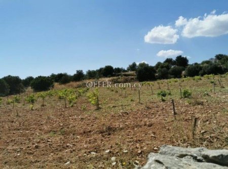 Residential Field for sale in Pachna, Limassol