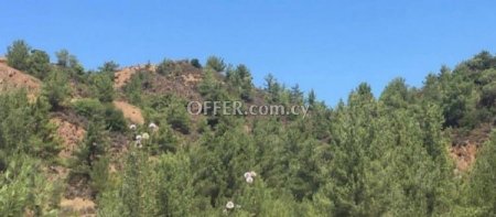 Field for sale in Kato Platres, Limassol